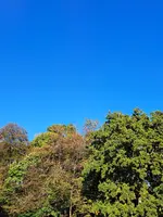 20231017_143055.webp 20231017_143055.webp