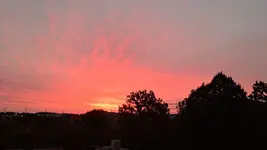 20231017_074420.webp 20231017_074420.webp