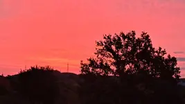 20231017_074433.webp 20231017_074433.webp