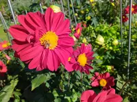 IMG_20231015_151841.jpg IMG_20231015_151841.jpg