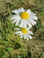 IMG_20230925_161535.webp IMG_20230925_161535.webp