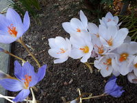 20231018_130306.jpg