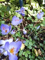 20231018_130541.webp