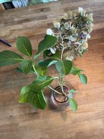 IMG_0265.jpeg