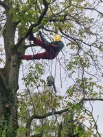 IMG_8863 Kopie (1).jpg