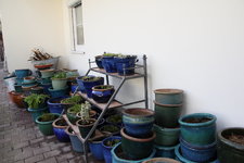 Oktober 0523.JPG