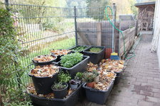 Oktober 0723.JPG