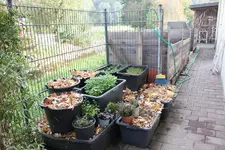 Oktober 0723.webp