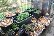 Oktober 0823.webp