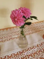 IMG_20231021_151943.webp