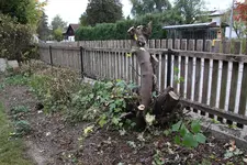Oktober 0923.webp