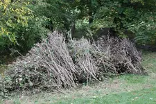 Oktober 1323.webp