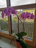 IMG_20231022_123217.webp