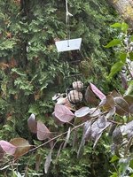 IMG_9700.jpeg