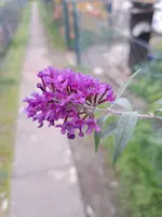 20231022_160218.webp