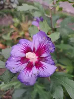 20231022_160256.webp
