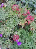 20231022_160310.webp