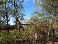 IMG_20231022_141157_1.jpg