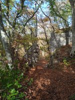 IMG_20231022_140854_1.jpg