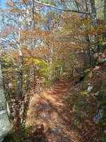 IMG_20231022_140728.jpg