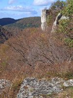 IMG_20231022_140035_1.jpg