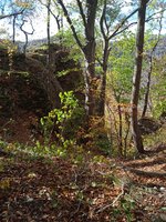IMG_20231022_135844_1.jpg
