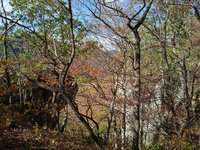 IMG_20231022_134712.jpg
