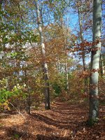 IMG_20231022_134629_1.jpg