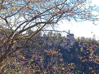 IMG_20231022_133806_1.jpg