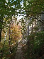IMG_20231022_133559_1.jpg