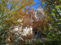 IMG_20231022_133446_1.jpg