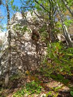 IMG_20231022_133224_1.jpg