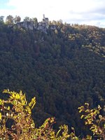 IMG_20231022_132921.jpg