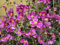 20231003_135013.webp