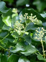 P1020730.webp P1020730.webp