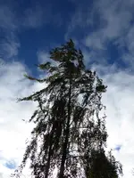 P1020732.webp