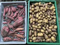 IMG_0217.webp IMG_0217.webp