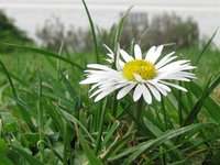 IMG_4483 desktop.JPG