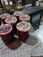 IMG_20231025_163355.webp IMG_20231025_163355.webp