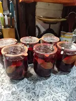 IMG_20231025_133724.webp IMG_20231025_133724.webp