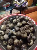 IMG_20231024_124848.webp IMG_20231024_124848.webp