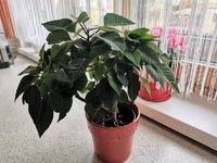 IMG_20231026_153413.jpg