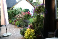 Terasse        6923.webp