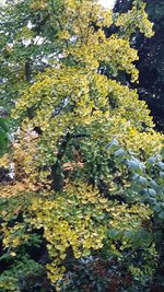 20231027_164045.jpg