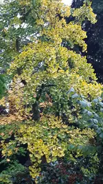 20231027_164045.webp