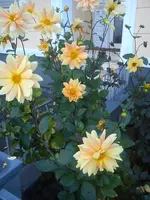 DSC07496.webp