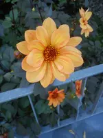 DSC07498.webp