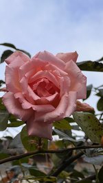 IMG_8472.jpeg