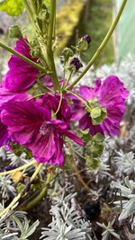 IMG_8479.jpeg