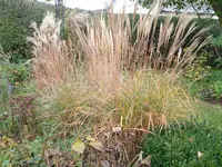 IMG_20231028_141441_1.webp